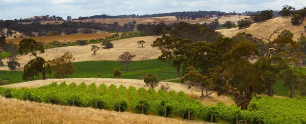 Milton Park Shiraz 2021, Thorn-Clarke Wines, Australien